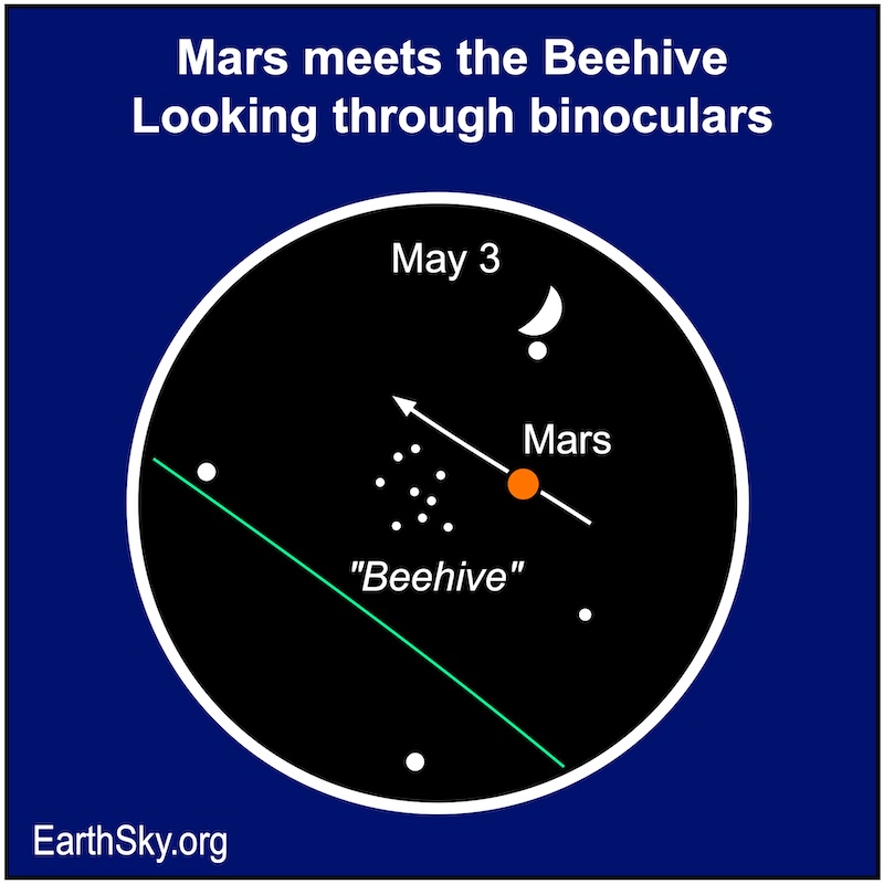 A large white crescent shape is immediately above a red dot. They are near a number of small white dots.