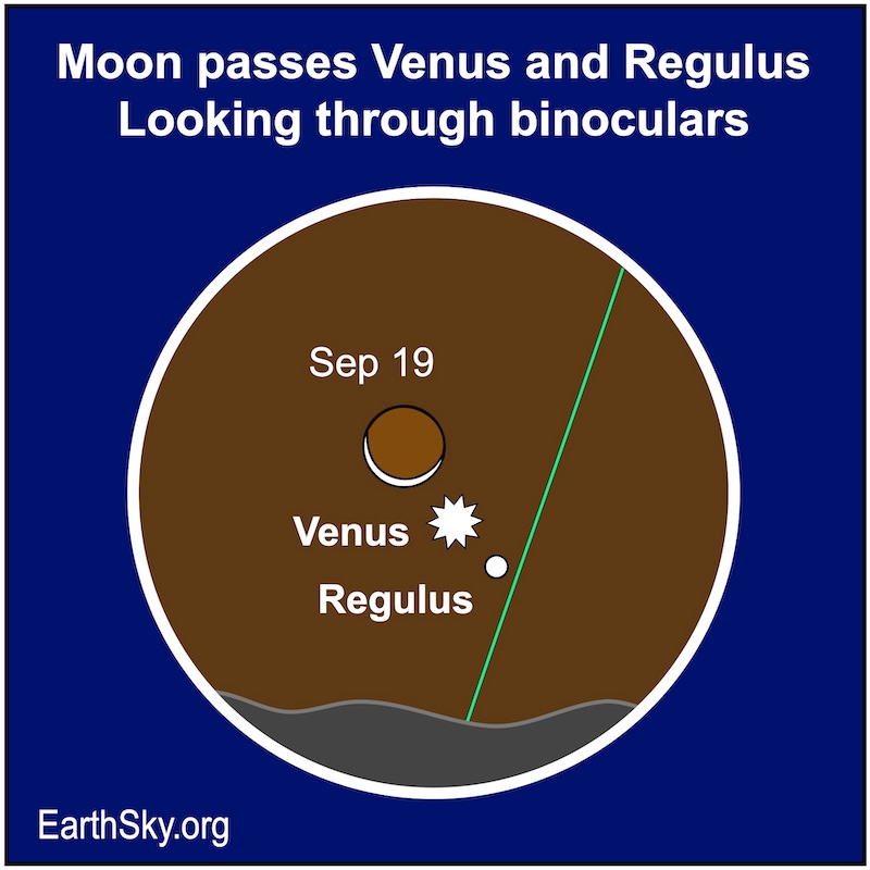 A crescent shape is above a starred dot which in turn is above a smaller round dot.