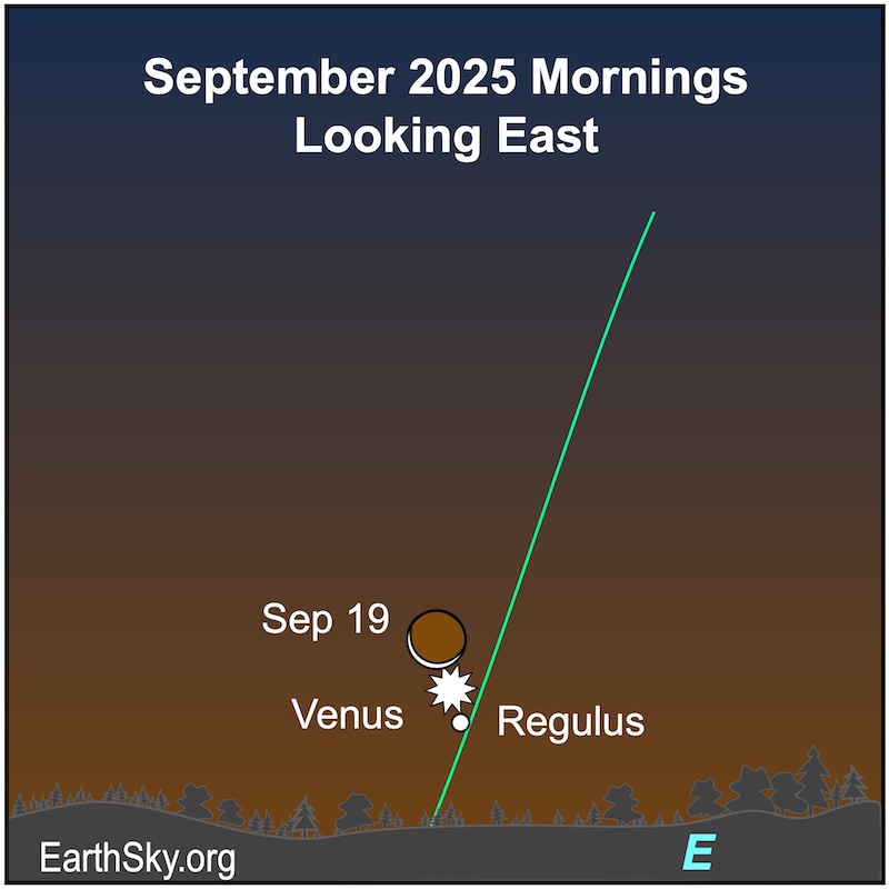 A crescent shape is above a starred dot which in turn is above a smaller round dot.