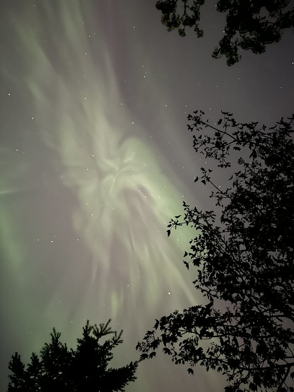 Aurora