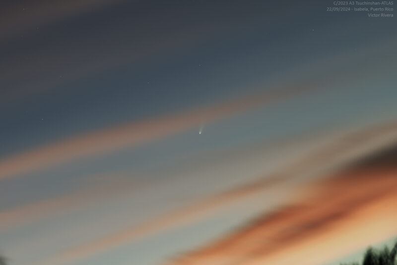 Dark blue sky with comet, a tiny white dot with a tail, among streaky orange clouds.