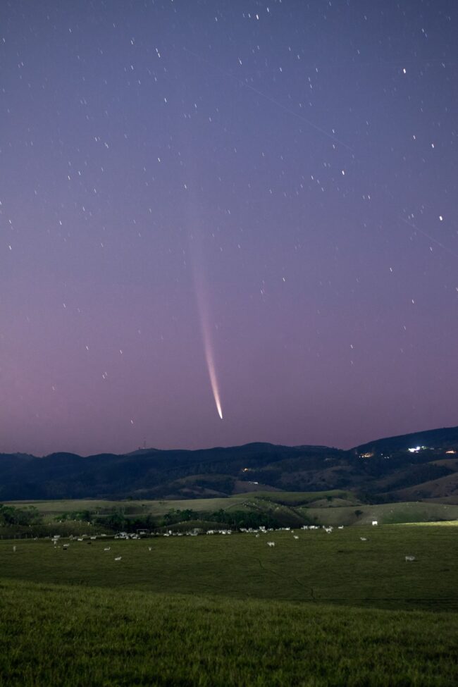 Animals in pasture in the foreground with a comet and vertical tail behind.