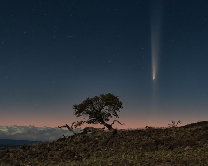 A comet with a faint anti-tail above mountains and a lone tree.