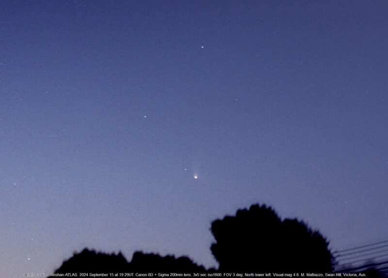 A dusk sky with some stars and a comet with a fuzzy, short tail going straight up.