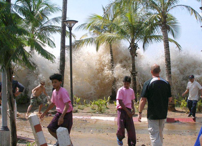 Palm trees and 6 men, some running, some staring, as a wave as high as the trees crashes ashore in the background.