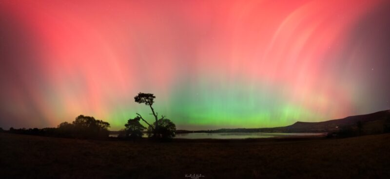 A pink and green sky over a lake and some dark trees.