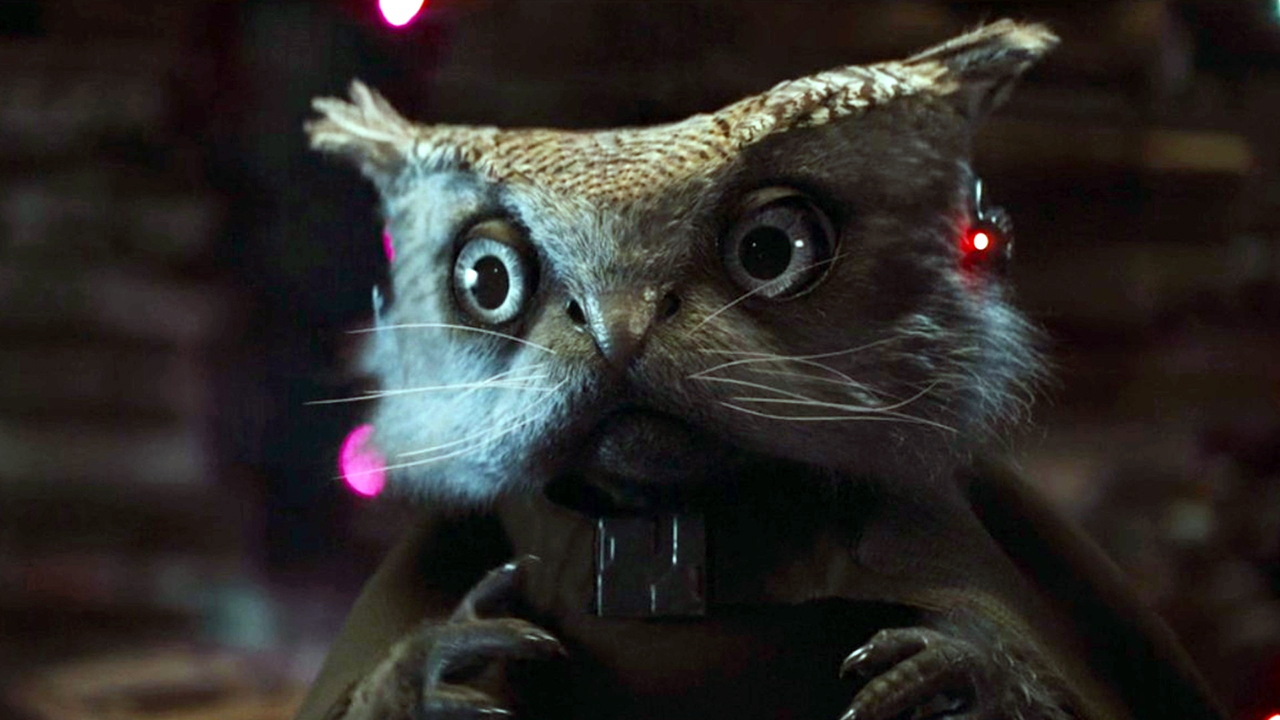 Still from the Star Wars TV show Skeleton Crew. Close up of Kh'ymm, a small owl-like creature with feline features (nose, whiskers, large eyes).