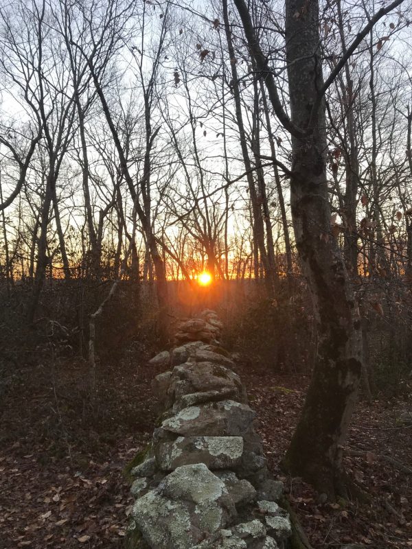 View along low wall of irregular limestone chunks, in thin woods, toward bright dawn.