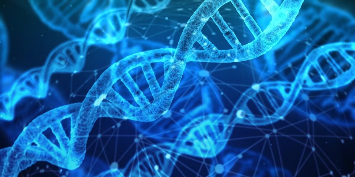 "New Study Reveals Astonishing Complexity in Human Evolution"