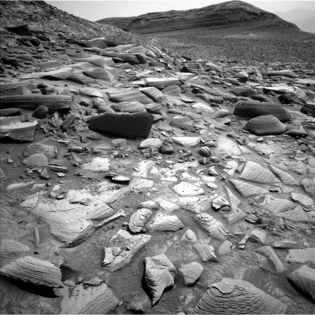 A grayscale photo from the Martian surface shows very rocky and hilly terrain. A gentle slope from lower right to the upper left corner of the image fills more than three-quarters of the frame, with dark gray soil covered in a multitude of lighter-toned rocks of different sizes and shapes, many of them quite large, pushing up from the ground. In the distant background, another hill rises up near the upper right corner of the frame.