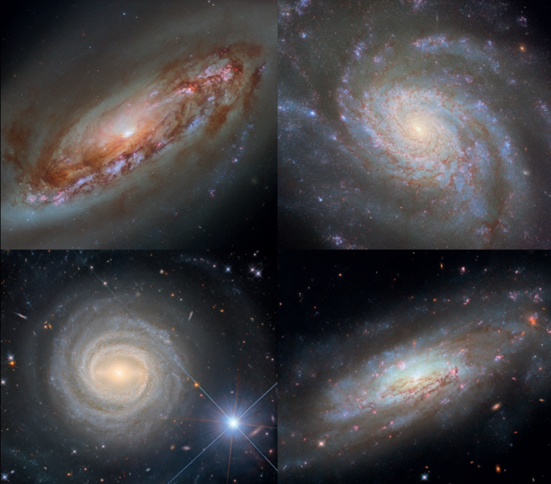 4 square images of 4 different spiral galaxies, with bright, cream centers and wispy blue spirals surrounding them, against a black starry backdrop.