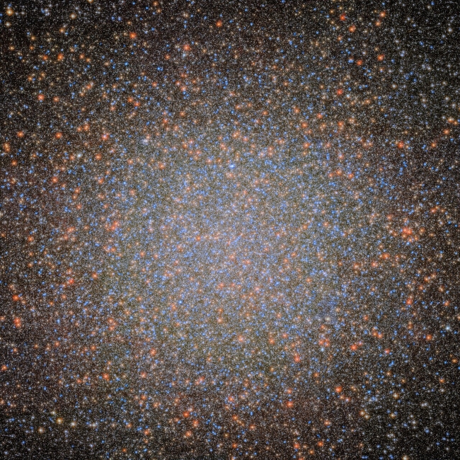 A globular cluster, appearing as a highly dense and numerous collection of shining stars. Some appear a bit larger and brighter than others, with the majority of stars appearing blue and orange. They are scattered mostly uniformly, but in the centre they crowd together more and more densely, and merge into a stronger glow at the cluster’s core.