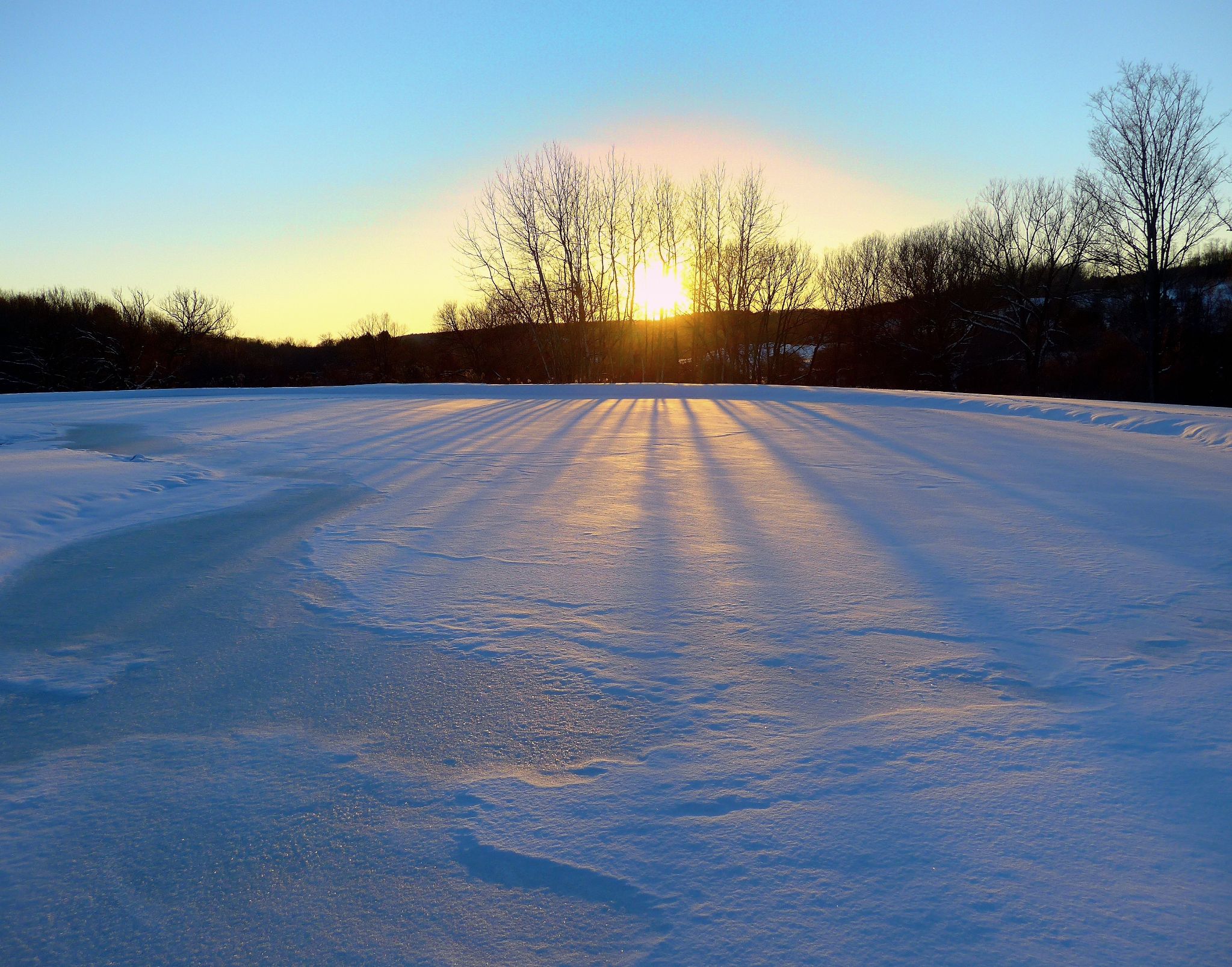 Sun through thin trees in distance with long shadows over perfectly level snowy surface.