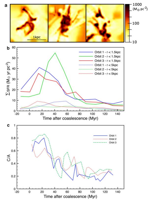 This figure from the research shows how the spheroids lose their shape after the intense period of star formation following a merger. (a) shows maps (2×2 kpc) of the central gas in three different
mergers, showing the flattest projection for these systems observed at 12 Myr from coalescence; that is, these systems are 3D spheroidal structures, not face-on disks. (b) shows the star-formation rate peaking and then dimishining over time. (c) shows C/A, which quantifies the relative system thickness encompassing all galactic components, including disks, bars, and bulges. It's a ratio between C, the shortest axis, and A, the longest axis in a triaxial ellipsoid. Image Credit: Tan et al. 2024. 