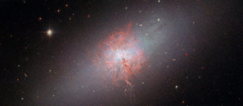 An oval-shaped galaxy, made up of many point-like stars. It is softly lit from the centre, brightest and slightly blue at the very centre and fading to darkness at the edges. Surrounding the galaxy’s core are reddish clouds of gas and dust, most around or behind the core, but a few wisps are in front of it and block some light. Some faraway galaxies and two foreground stars can be seen around the galaxy