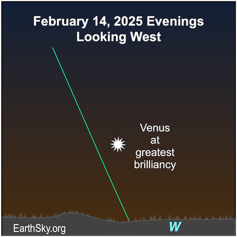 Chart showing an extra-large starred dot, Venus, above the western horizon, along the green ecliptic line.