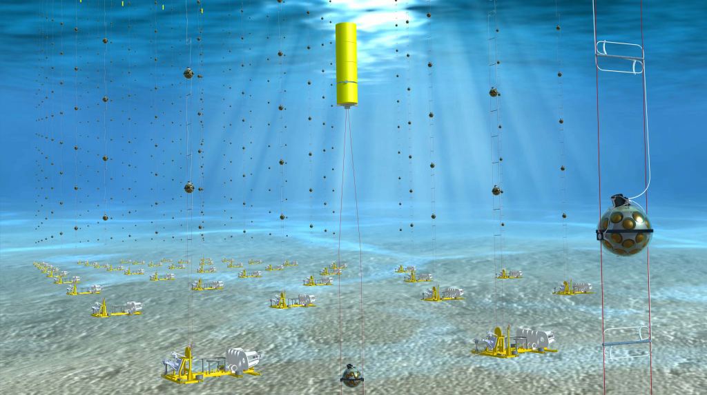 This is an artist's impression of a KM3NeT installation in the Mediterranean. Underwater neutrino detectors take advantage of location to track these fast particles. Image Courtesy Edward Berbee/Nikhef.