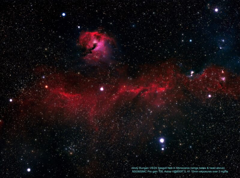 Two red patches of nebulosity, one large and elongated, one round and small, with numerous foreground stars.