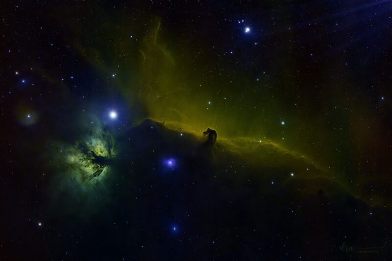 Green and yellow cloud of gas with a dark, horsehead-shaped indentation and a few foreground stars.