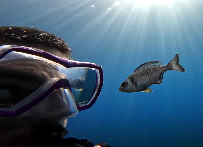 A small fish swims next to a man's head, covered in scuba diving goggles