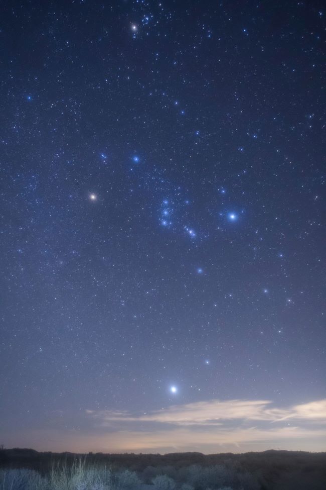 Wide array of bright but slightly fuzzy stars, mostly blue-white but one reddish, over dark landscape.