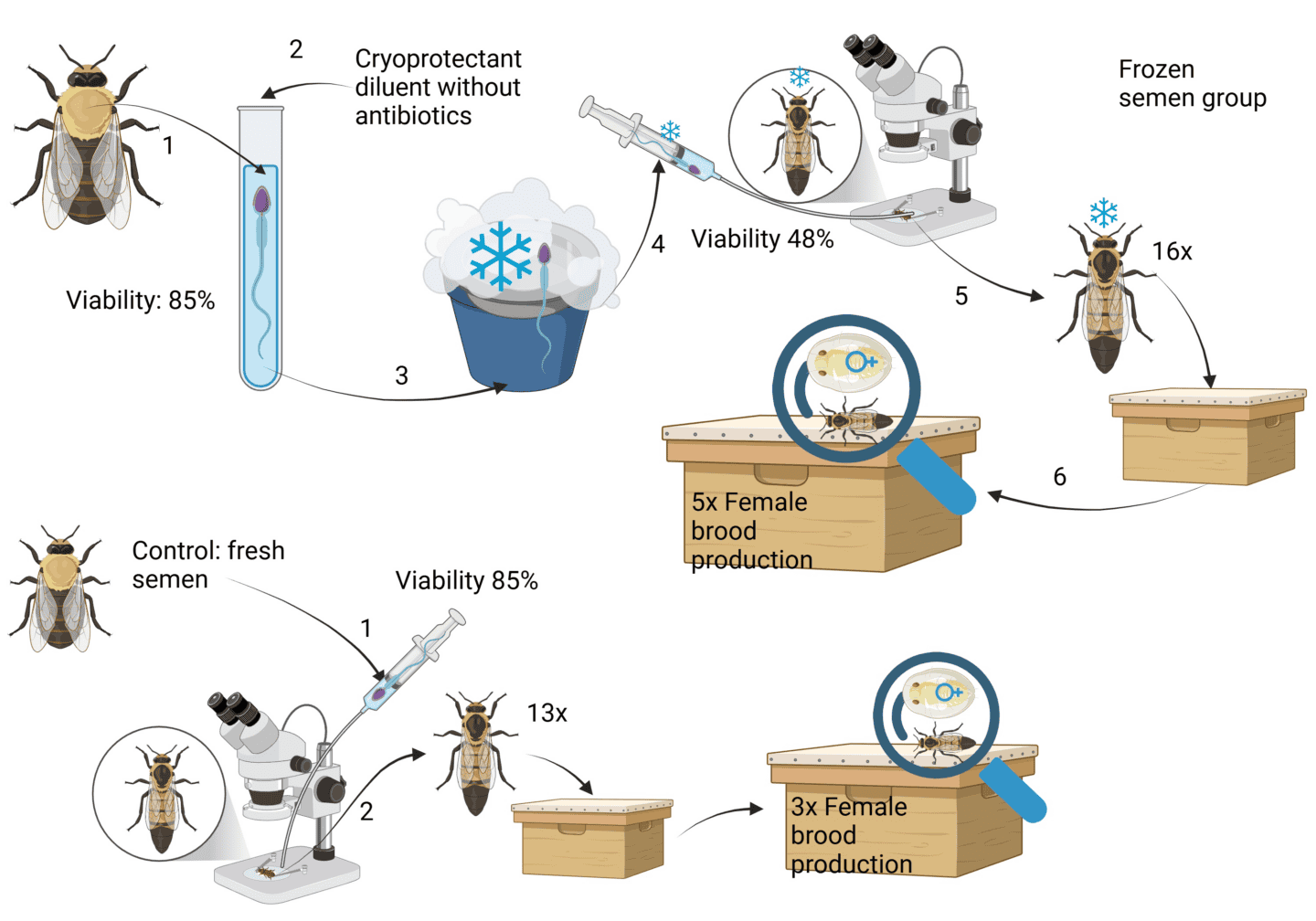 Insects 16 00050 ag