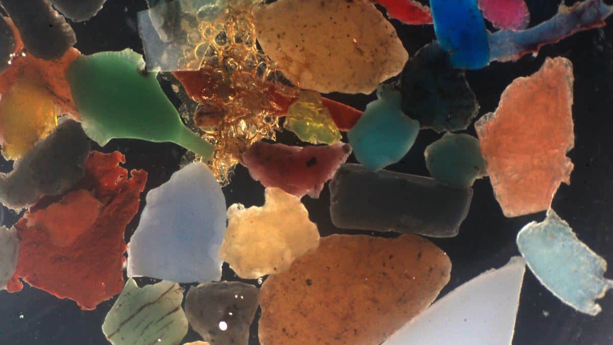 Closeup of microplastic particles