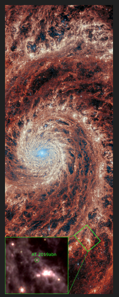 a pink-and-yellow swirling spiral with a Intelligent white dot at its Middle