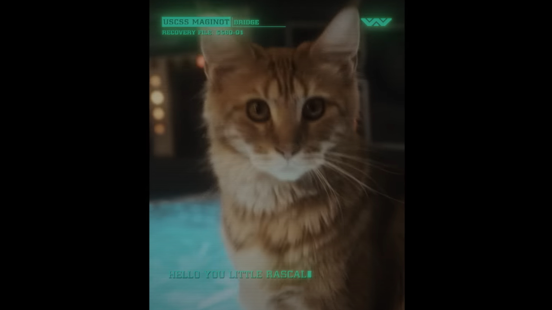 Alien Earth Brief teasers: Maginot Cat Explores Weyland-Yutani Ship