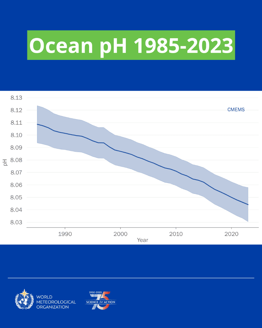 A graph of ocean ph from 1985 to 2023, showing a steep decrease.