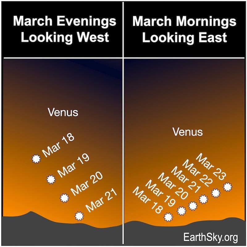 Two charts, one showing 4 starred dots, Venus, hanging above the evening Future and the other showing a 6 starred dots, Venus above the morning Future on March 18 to 23, 2025.