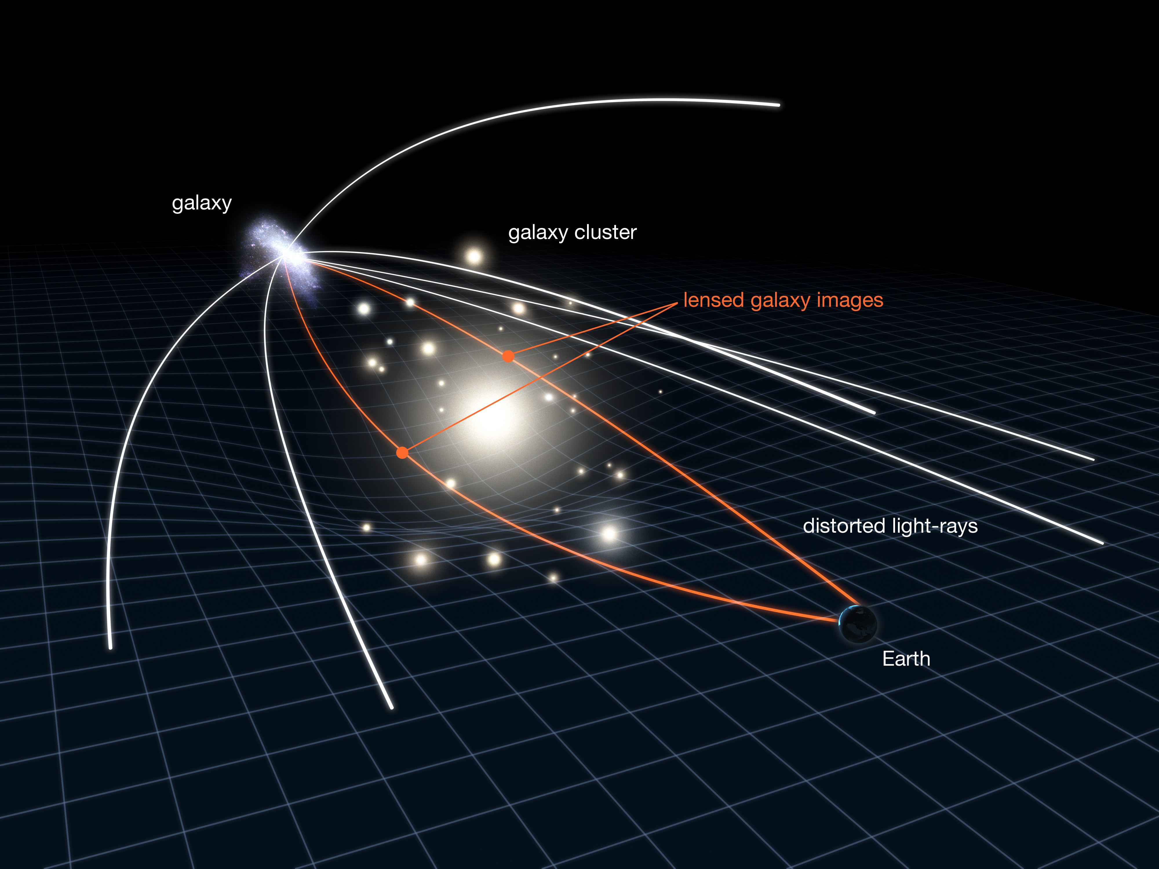 Curved lines Deliver glowing white orbs of a curved grid