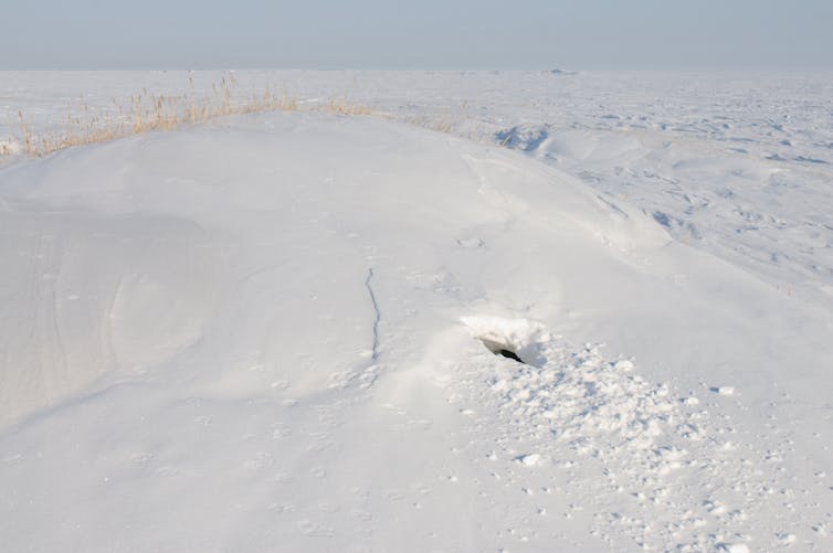 A snowy hill with a hole in it