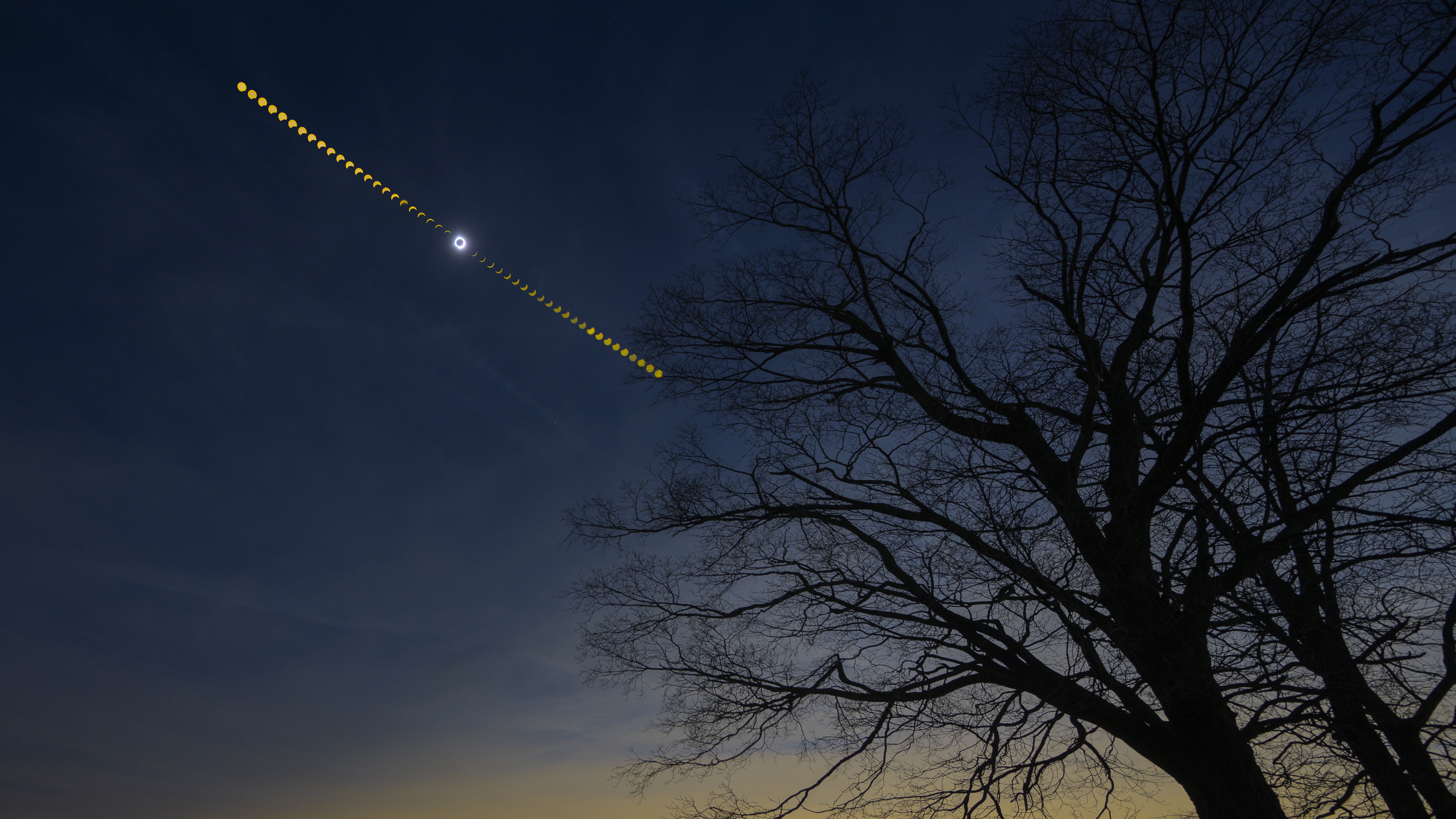 Chain of total solar eclipse images show the process unfold in the sky above a silhouetted tree.