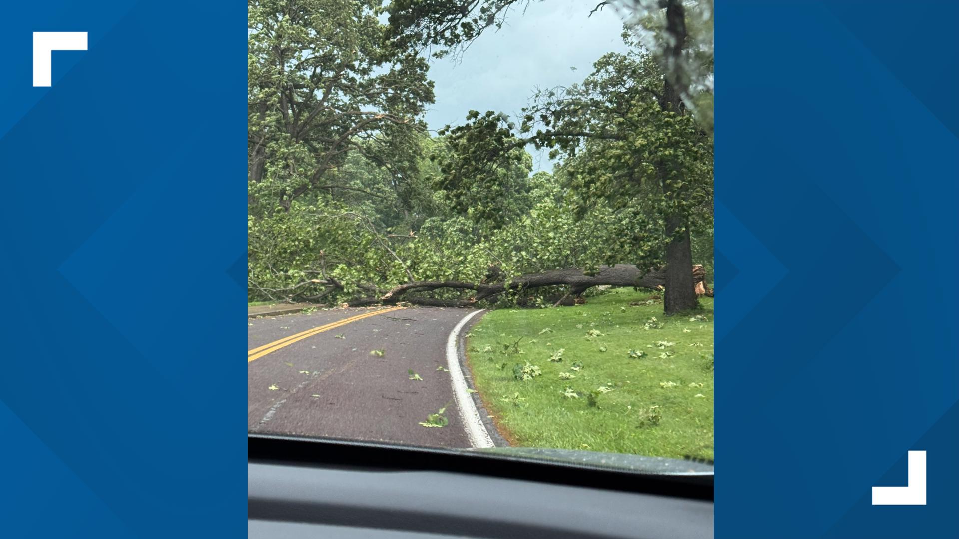 From-X-KAY2RUN-took-this-photo-of-a-tree-blown-over-at-the-Jefferson-Barracks-in-Lemay-Missouri.